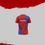 Thumbnail: DELHI CAPITAL FAN-MADE VERSION JERSEY/IPL JERSEY/CREW-NECK