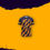 Thumbnail: KOLKATA KNIGHT RIDERS FAN-MADE VERSION JERSEY/IPL JERSEY/CREW-NECK