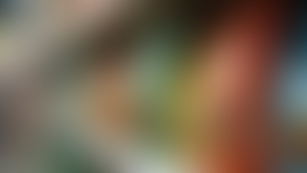 Smart Tips for Buying Pet Products Online