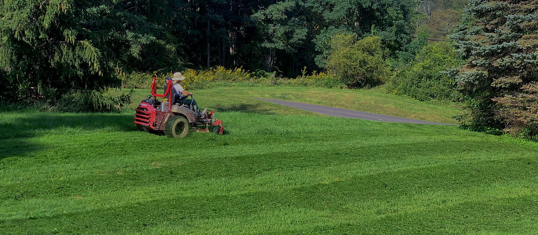 Mowing_edited_edited_edited.jpg