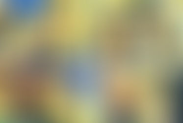 第12回　東海中学校選抜卓球大会　愛知県予選