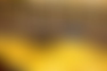 第47回　後藤杯選手権大会(ホープス)