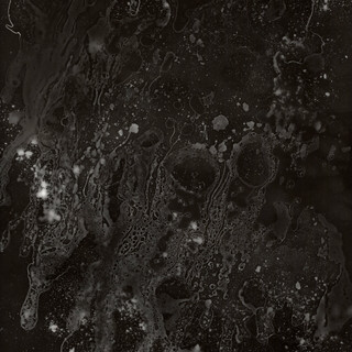 Lichtig_Dust18_22.jpeg