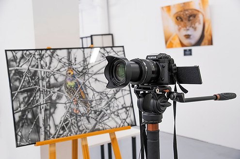 VINRECH PRODUCTION - EXPO PHOTOS - 2024 - PANTIN - Appareil photo.jpg