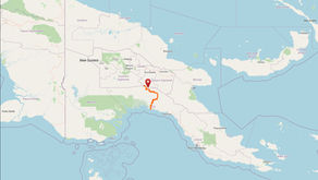 Archaeological Fieldwork in Papua New Guinea Southern Lowlands: From Excavation to Online Data Viz