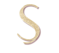 SOLE REVIVAL (15)_edited.png