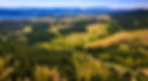 Screenshot 2025-08-14 at 1.30_edited.jpg