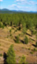 Aeiral photo