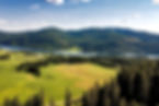 6ffebb77f445fcc9bf42d162660b0cab-uncropped_scaled_within_1536_1152_edited.jpg