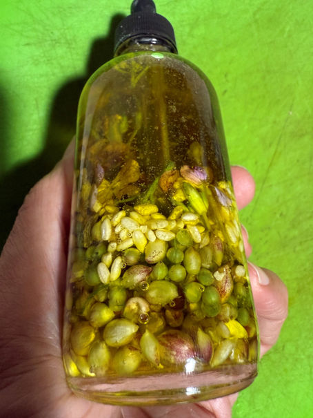 How To Make Herbal Tinctures, Infusions, and Distillations And Use Them In The Kitchen!