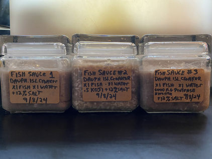 Fish Sauce Research - Trials On Traditional Fish Sauce, Koji Fish sauce & Enzyme Accelerated Fish Sauce