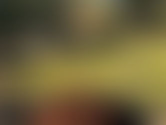 Deep Pipe Irrigation – A Better Way To Plant & Water Trees In Heavy Clay Soil