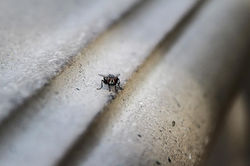 33298734_10216211728076284_7897653565454