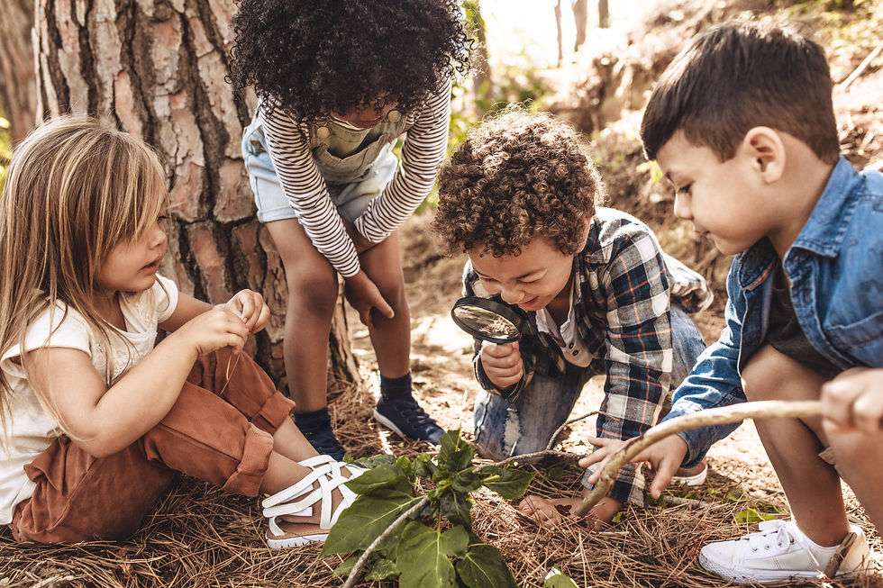Children in forest looking at leaves as a researcher together with the magnifying glass._e