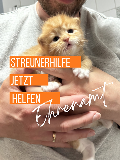 Titelbilder Auswahl  (Instagram-Post (34)) - 47.png