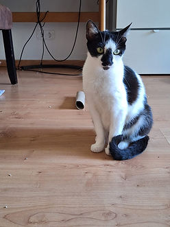 d923405e-0e3b-49e3-830d-b7f5aa0e6754.jpeg