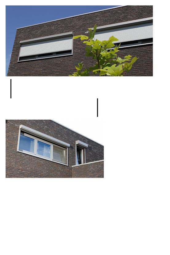 Untitled design (12).png