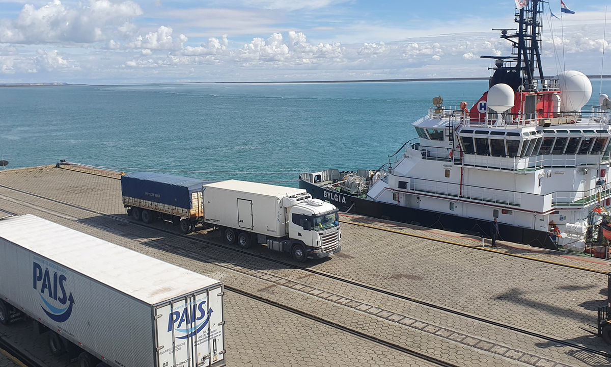 Logística refrigerada y transporte portuario