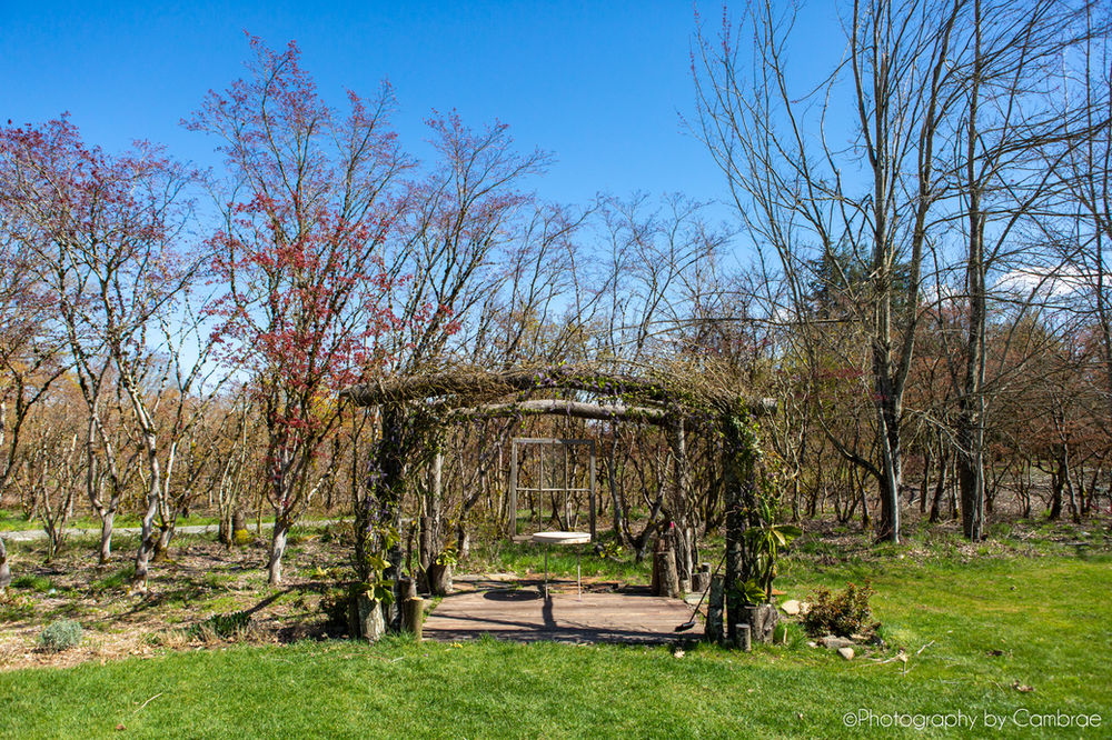 Lavender Owl Farm | Canby Wedding Venue | Oregon