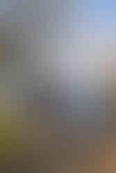 A couple holds hands and walks away from Oaks Pioneer Church in Portland in the background