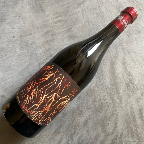 Storm Venti Venti 2020 /Panevino パーネヴィーノ 楽天市場