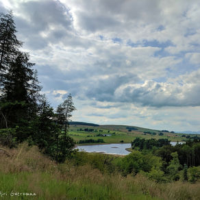 North Third Reservoir‎‏, Stirling