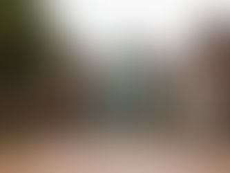 Appeals Against Council Decisions: Auckland Unitary Plan