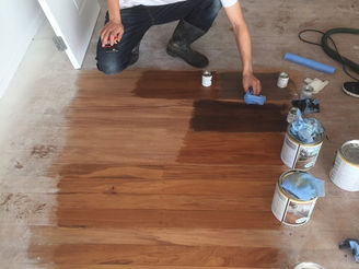 Checking Color Options For Existing Timber Flooring