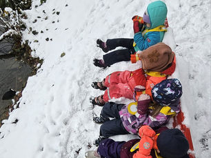 Auf der Suche nach Tomte