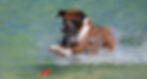 Image 51.jpeg