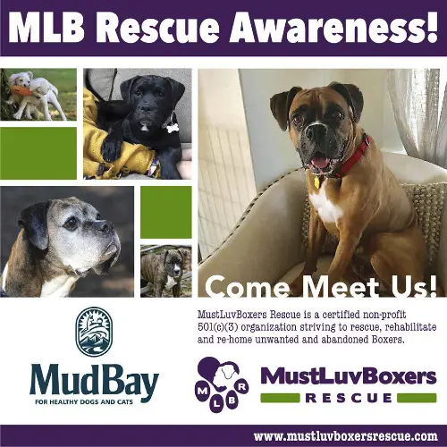 MLBR @ Mud Bay, University Place
