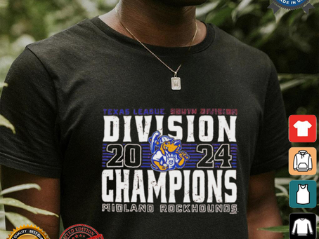 Tampa Bay Rays October rise 2024 Postseason shirt