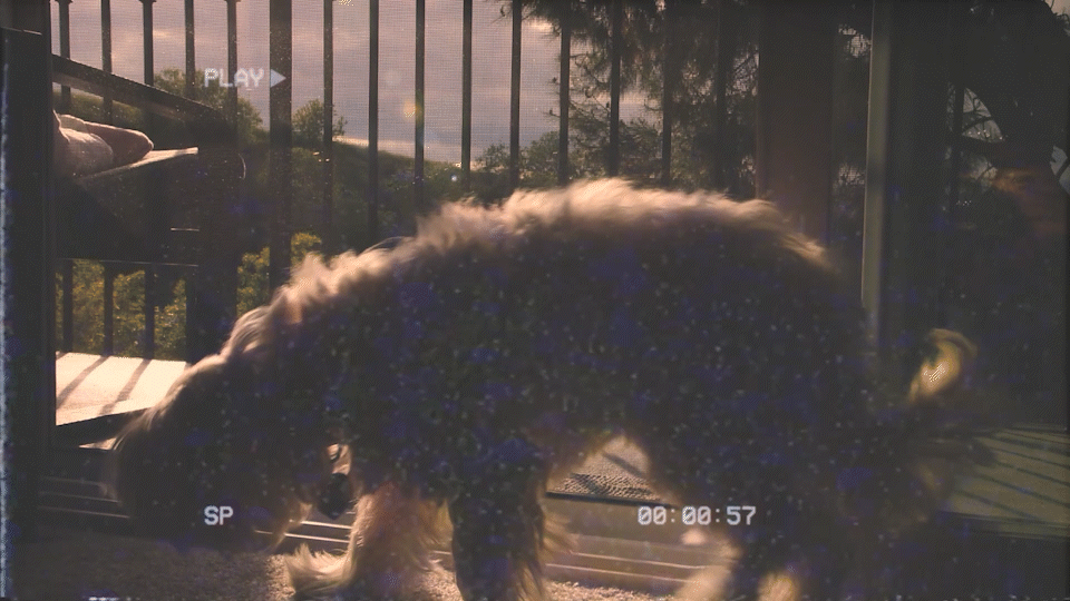 LOCKDOWN - Visual Story - Shranjay Arora_12262021_2.gif