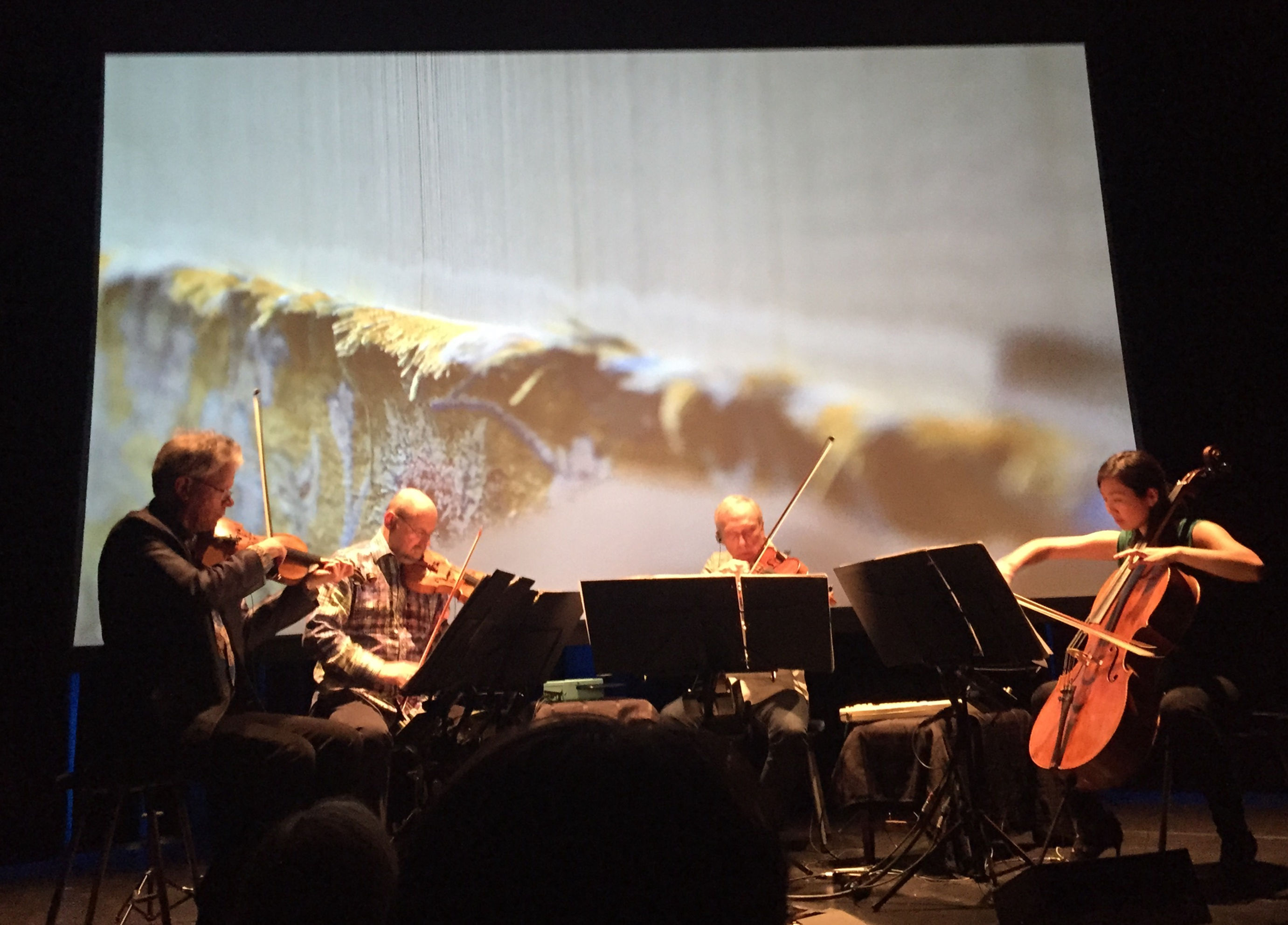 Taro Pood (Warp and Weft) (2014) - for string quartet and tape (film optional)