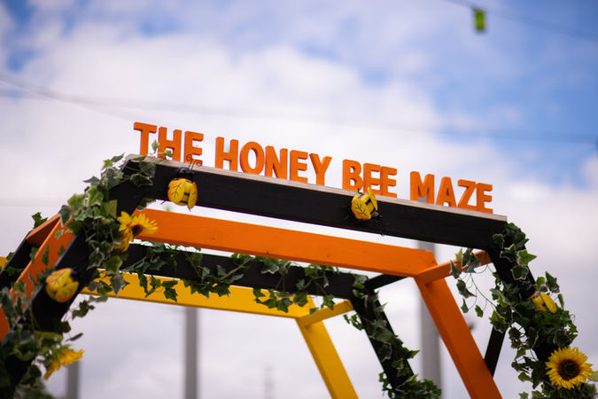 The Honey Bee Maze: An Educational Journey for Families by Kit and Caboodle at White Rose