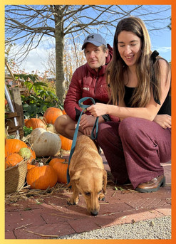 Visitors and their dog at the Get Living Pumpkin Patch, One Maidenhead