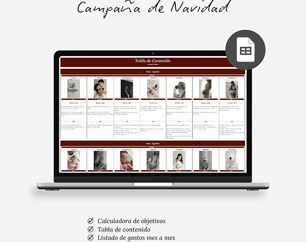 Controla tu Campaña de Navidad