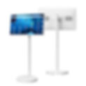 Product picture.jpg
