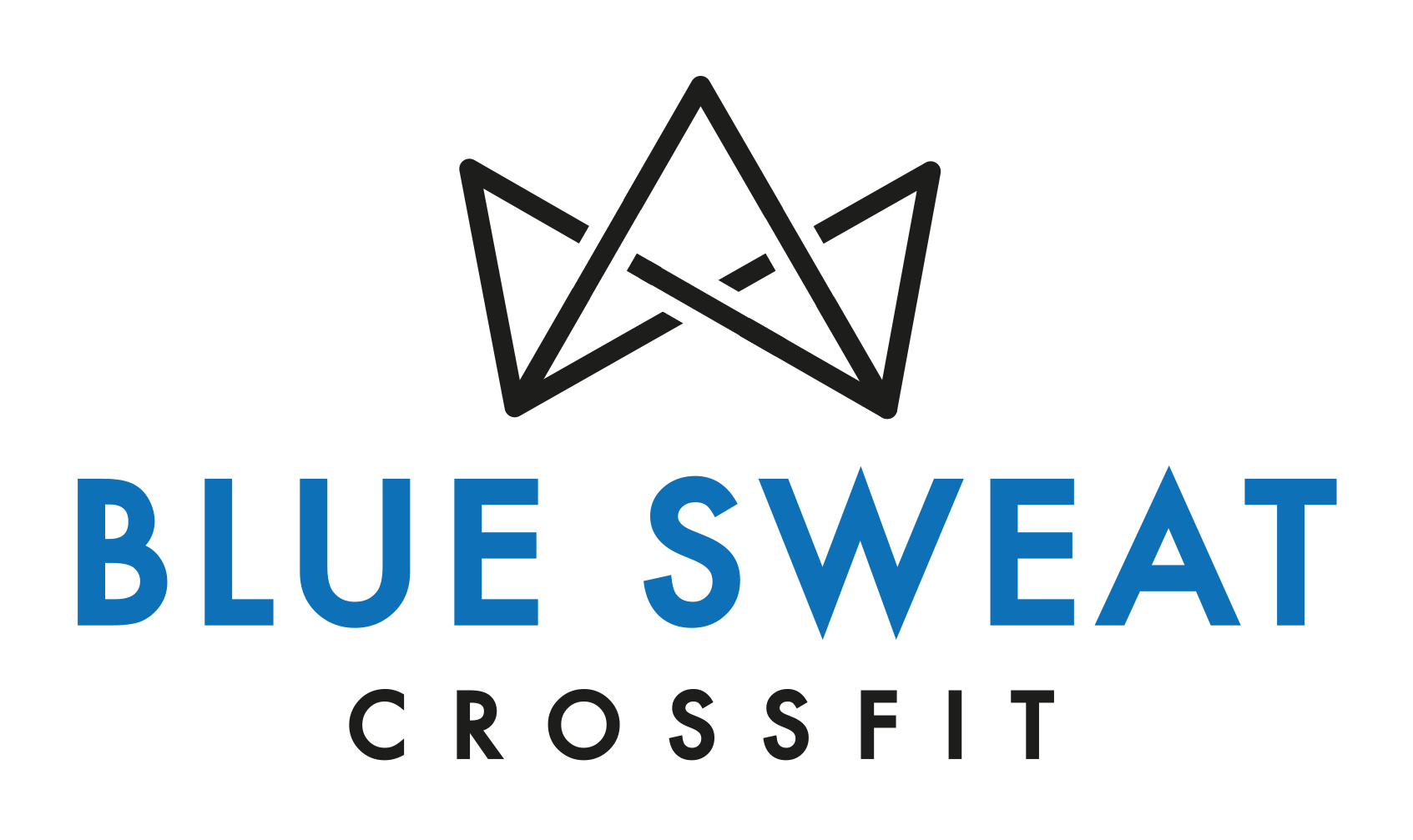 Crossfit blue sweat deals
