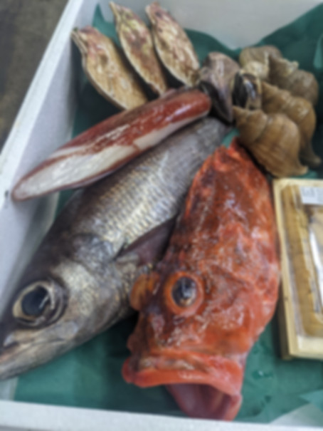 鮮魚BOX12000円