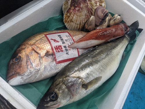 鮮魚BOX 8000円 | 高大水産株式会社