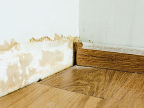Damp damage on interior wall showing rising damp and peeling paint in home inspection.