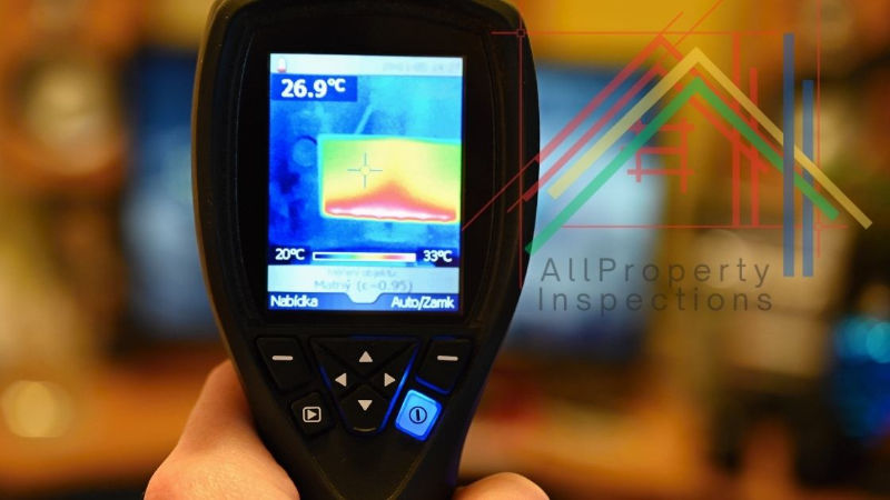 Thermal camera used during a home inspection to detect hidden cold-water leaks in Portugal.