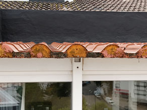 Side view of the roof