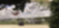 Full Camp Alpaca Field_edited.jpg