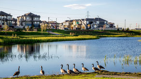 Top 5 Reasons Buyers from BC LOVE Airdrie, Alberta