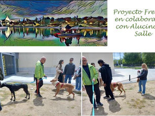 El proyecto Freesoul lleva a los perretes al Stella Maris