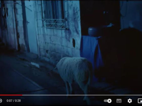 Una jornada particular