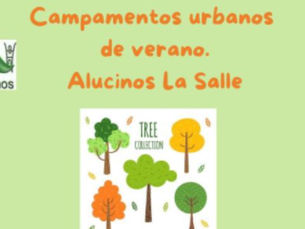 Nuestros chavales han regresado del campamento urbano