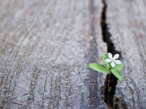 The Myth of False Hope